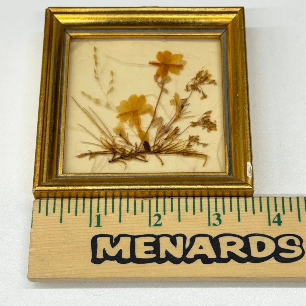 Vintage Dina West Germany Miniature Pressed Flower Art Gold‎ Frame 3.75